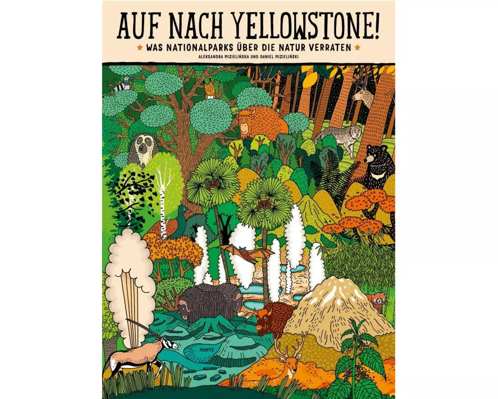 Auf nach Yellowstone!