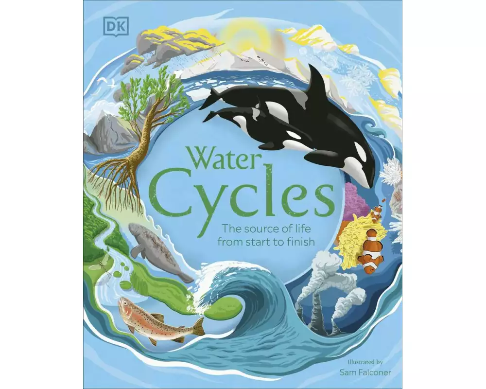 Water Cycles