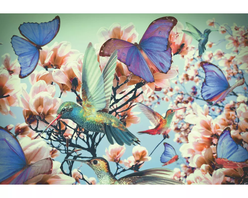 Erwachsenenpuzzle 300 Teile - Kolibri