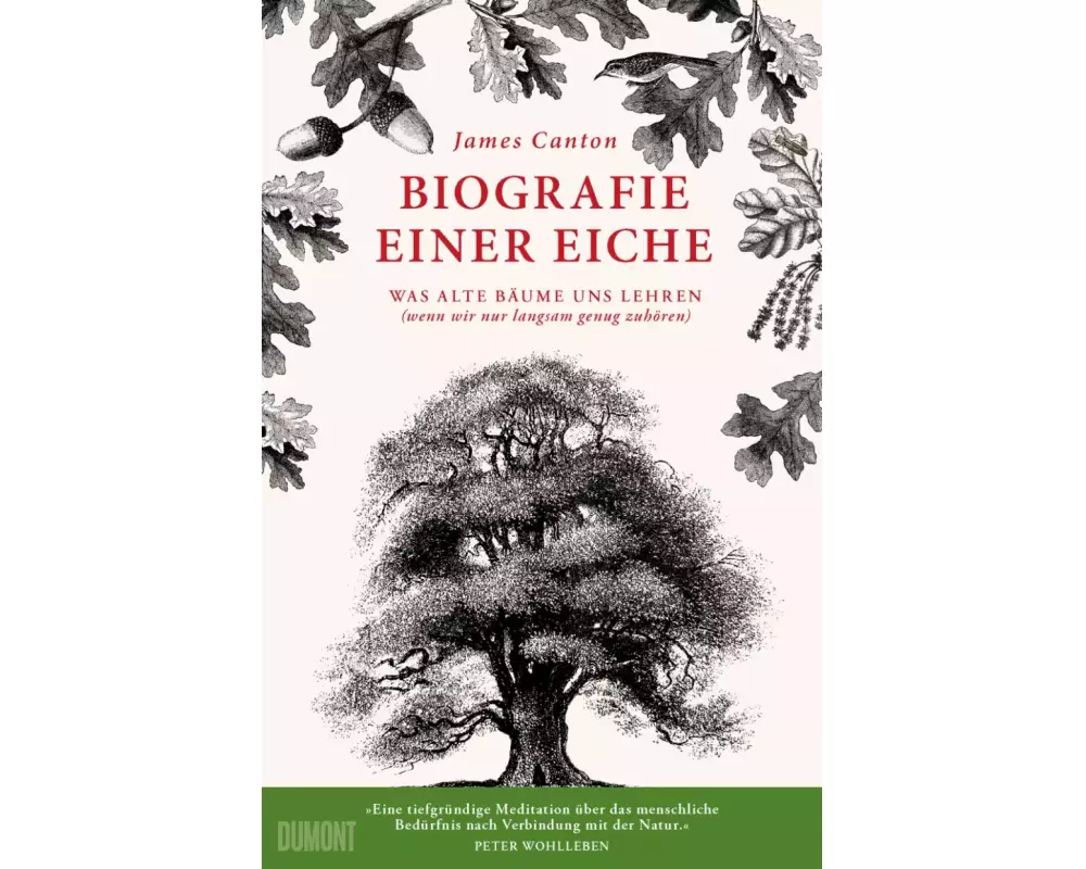 Biografie einer Eiche