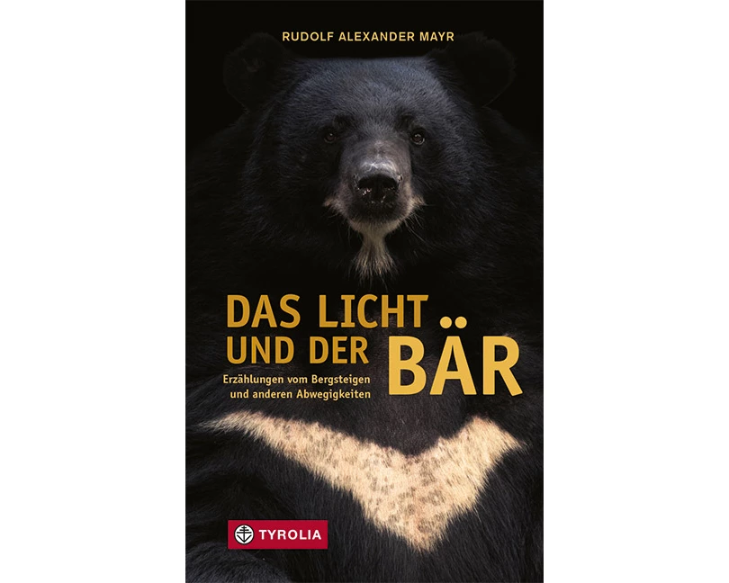 Das Licht und der Bär