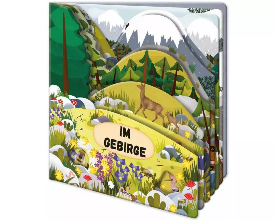 Trötsch Fensterbuch Im Gebirge