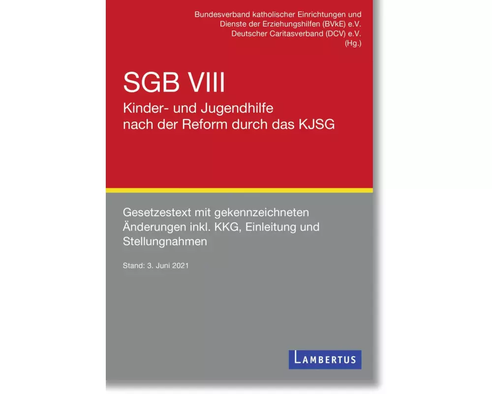 SGB VIII - Kinder- und Jugendhilfe nach der Reform durch das KJSG