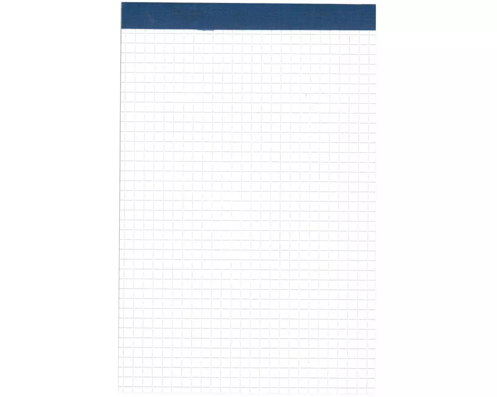 office focus Notizblock Office Focus A5 kariert, 10 Stück