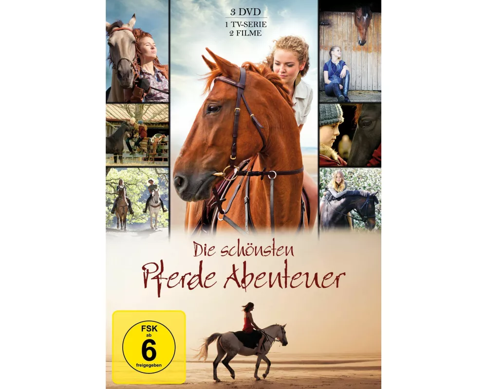 Die schönsten Pferde Abenteuer