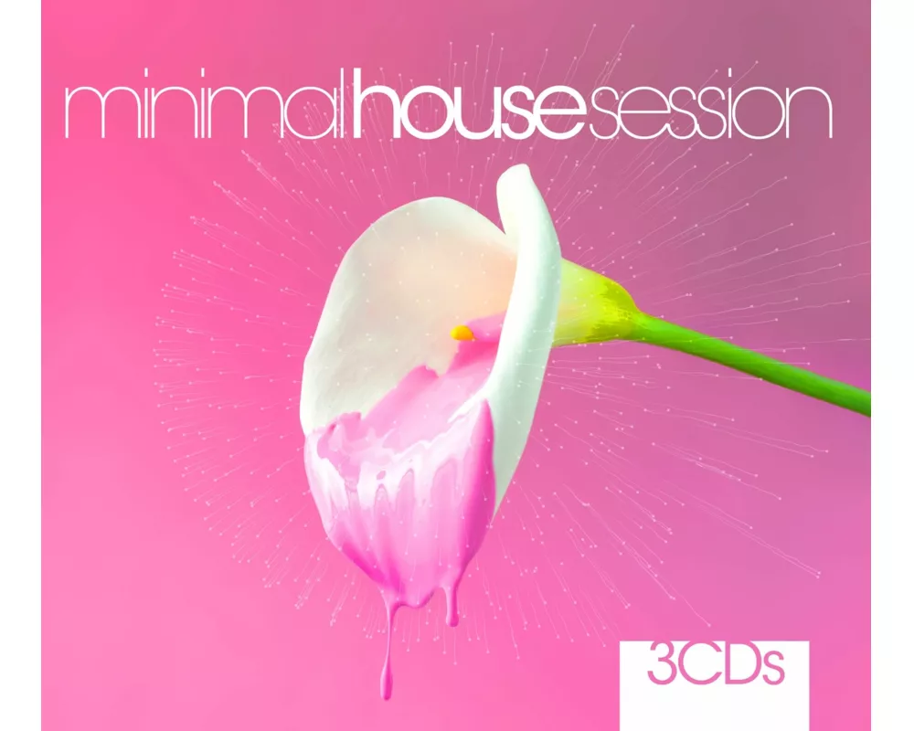 Minimal House Session