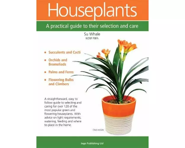 Houseplants