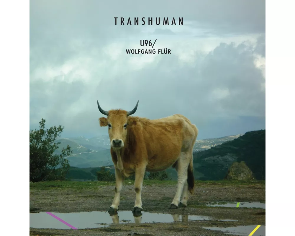 Transhuman