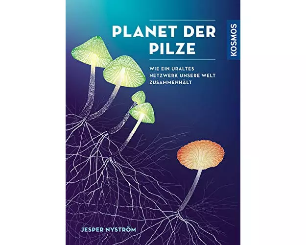 Planet der Pilze