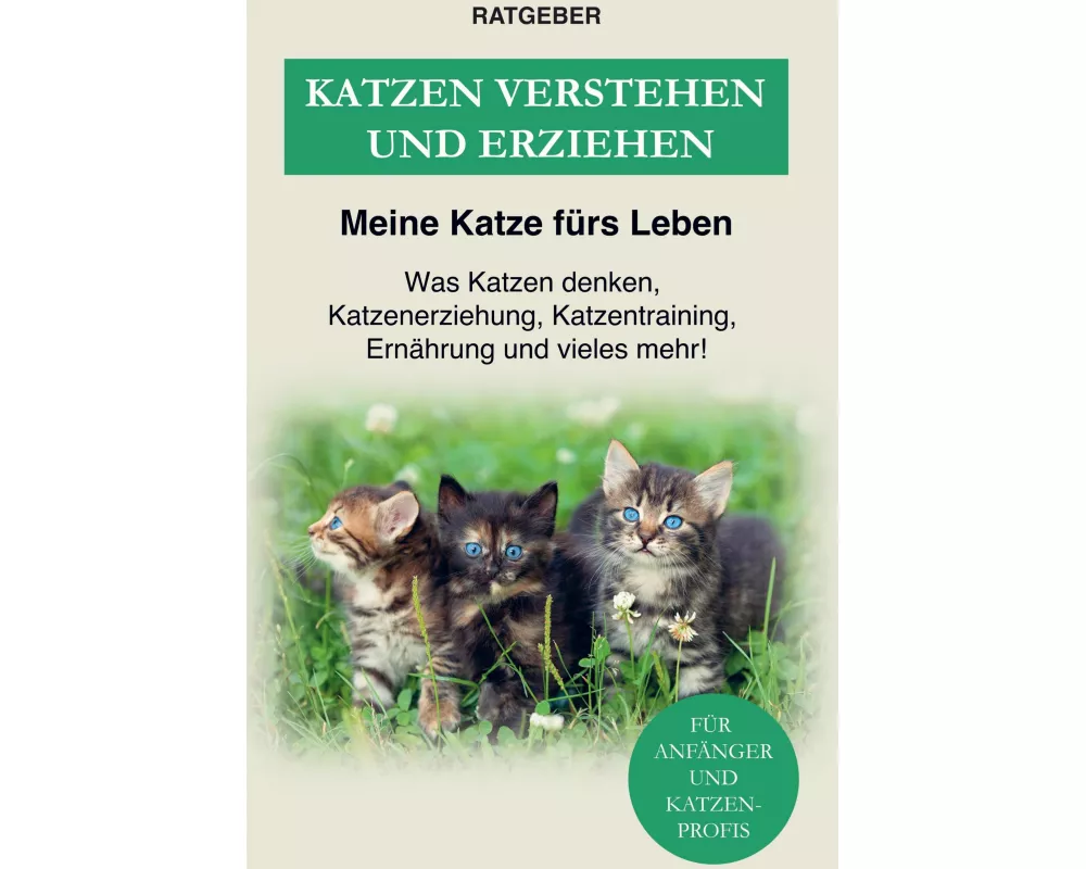 Katzen erziehen und verstehen