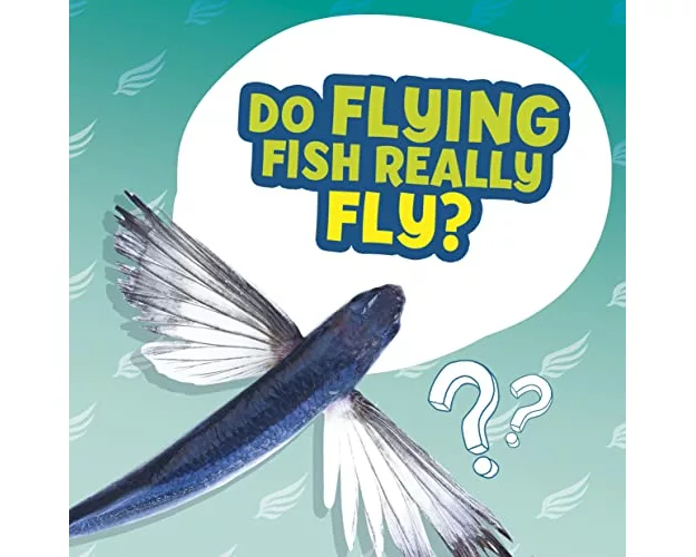 Do Flying Fish Really Fly?
