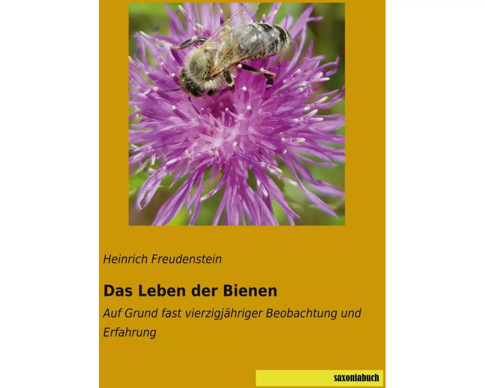 Das Leben der Bienen