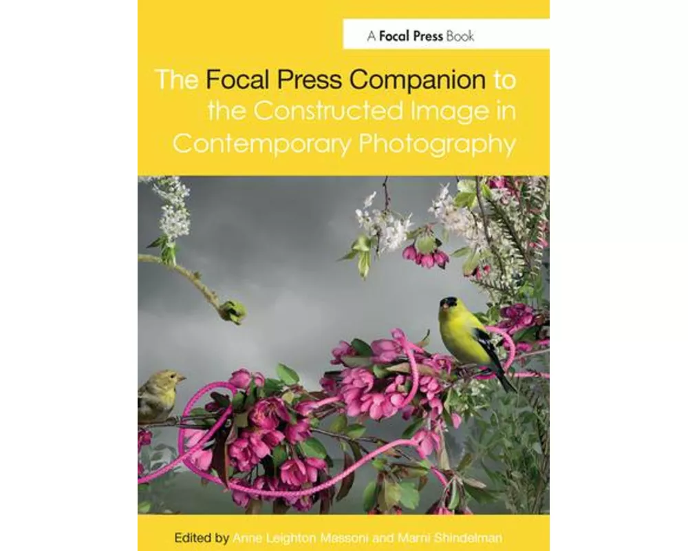 The Focal Press Companion to the Constructed Image in Contemporary Photography