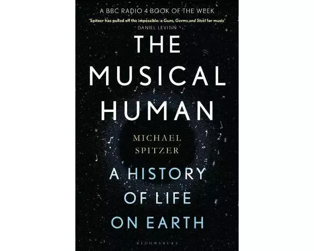 The Musical Human