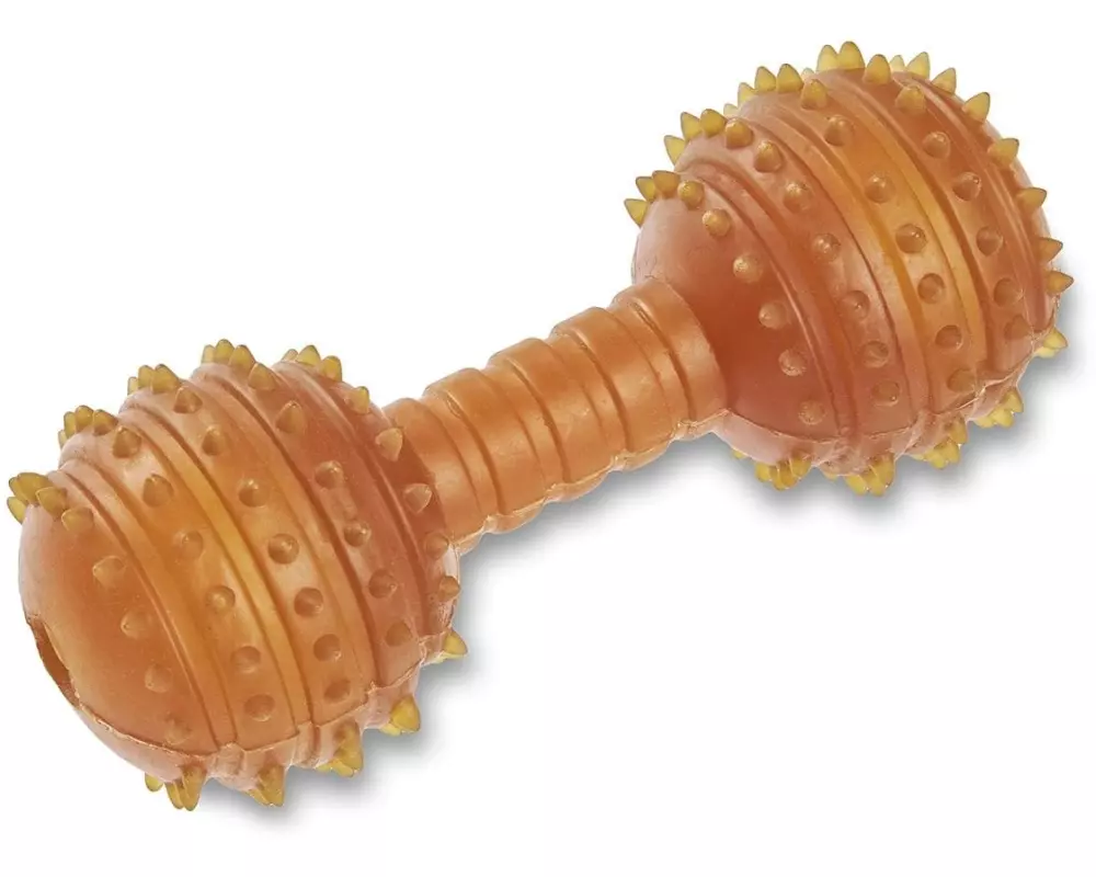 Wolters Hunde-Spielzeug Pure Nature Dental Hantel, L, 14.5 cm