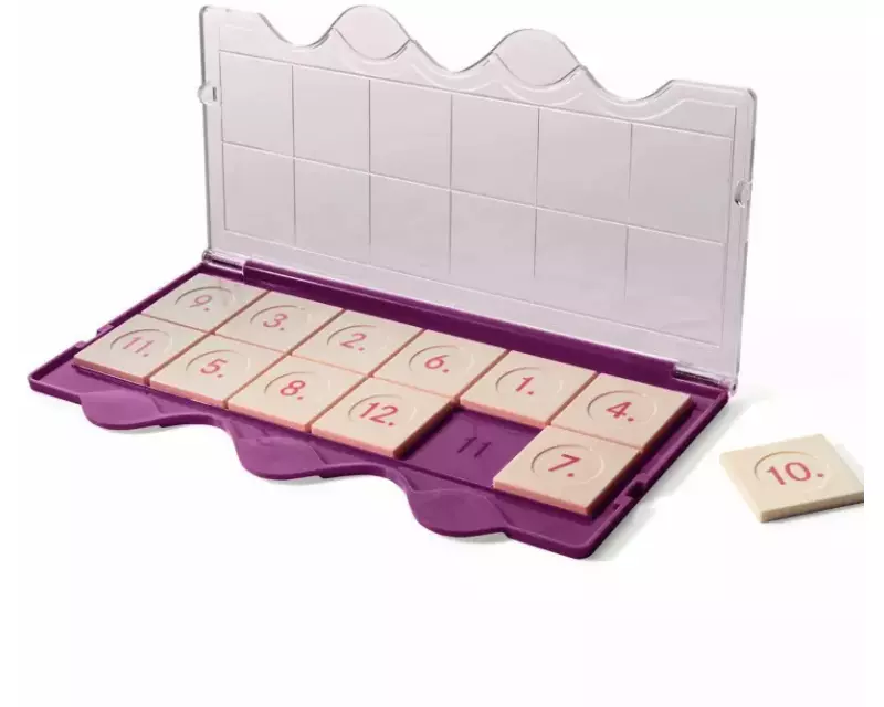 miniLÜK Kontrollgerät Klarsichtdeckel violett