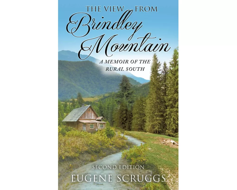 The View from Brindley Mountain