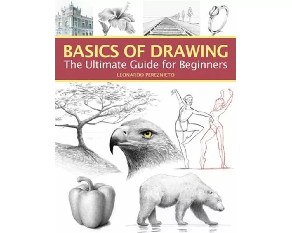 Basics Of Drawing
