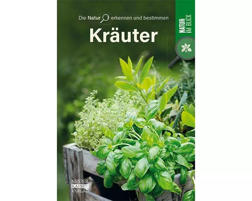 Kräuter