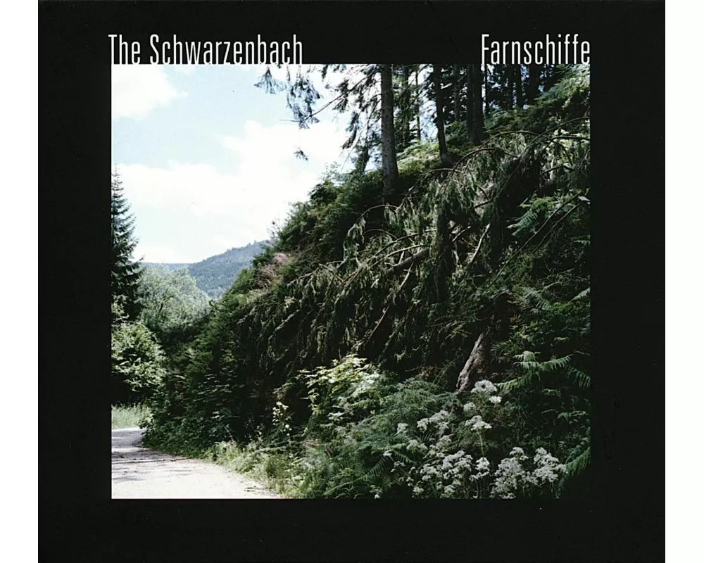 Farnschiffe