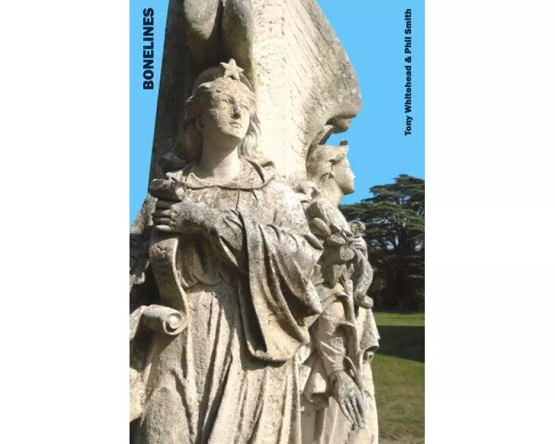 Bonelines