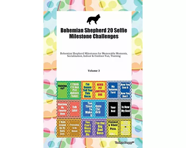 Bohemian Shepherd 20 Selfie Milestone Challenges Bohemian Shepherd Milestones for Memorable Moments, Socialization, Indoor & Outdoor Fun, Training Vol