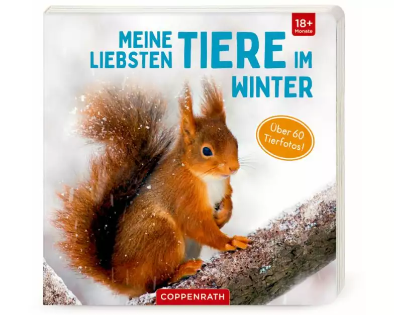 Meine liebsten Tiere im Winter