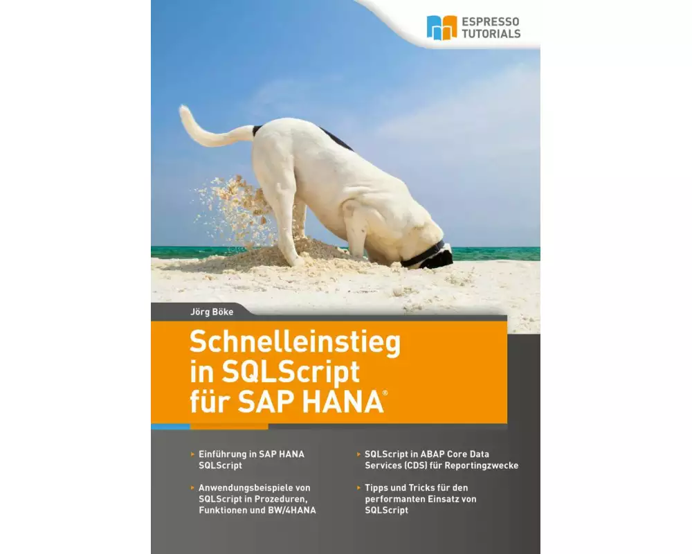 Schnelleinstieg in SQLScript für SAP HANA