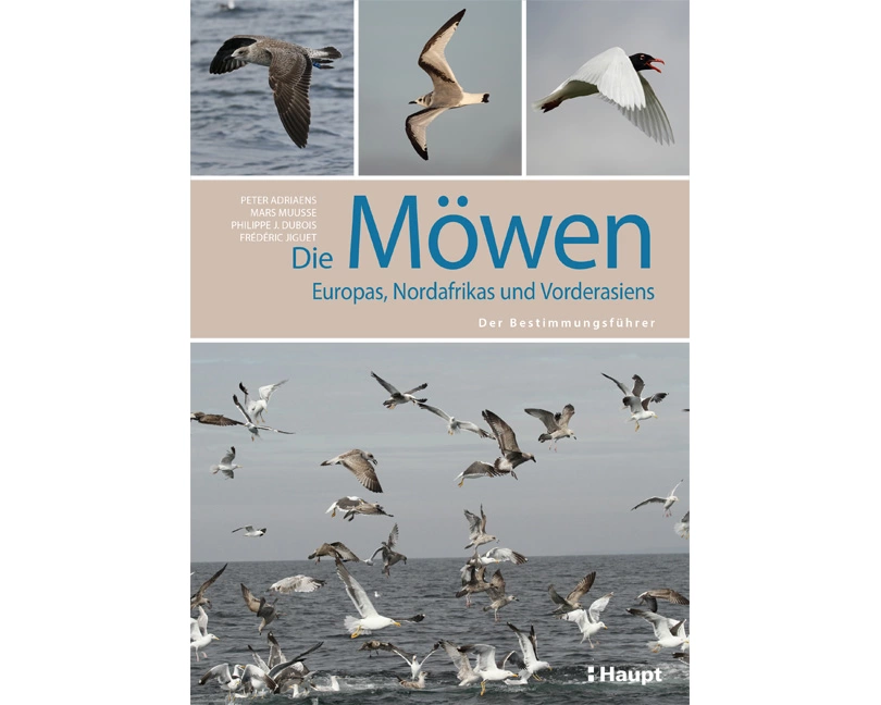 Die Möwen Europas, Nordafrikas und Vorderasiens