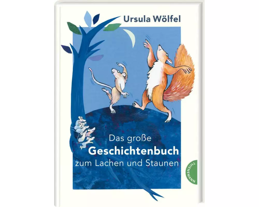Das große Geschichtenbuch zum Lachen und Staunen