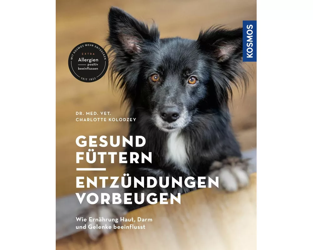 Gesund füttern - Entzündungen vorbeugen