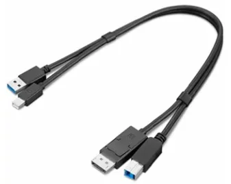 Lenovo ThinkStation mDP USB-A 3.0 to DP USB-B 3.0 Dual Head Cable