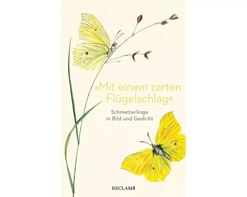 "Mit einem zarten Flügelschlag"