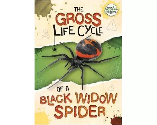The Gross Life Cycle of a Black Widow Spider