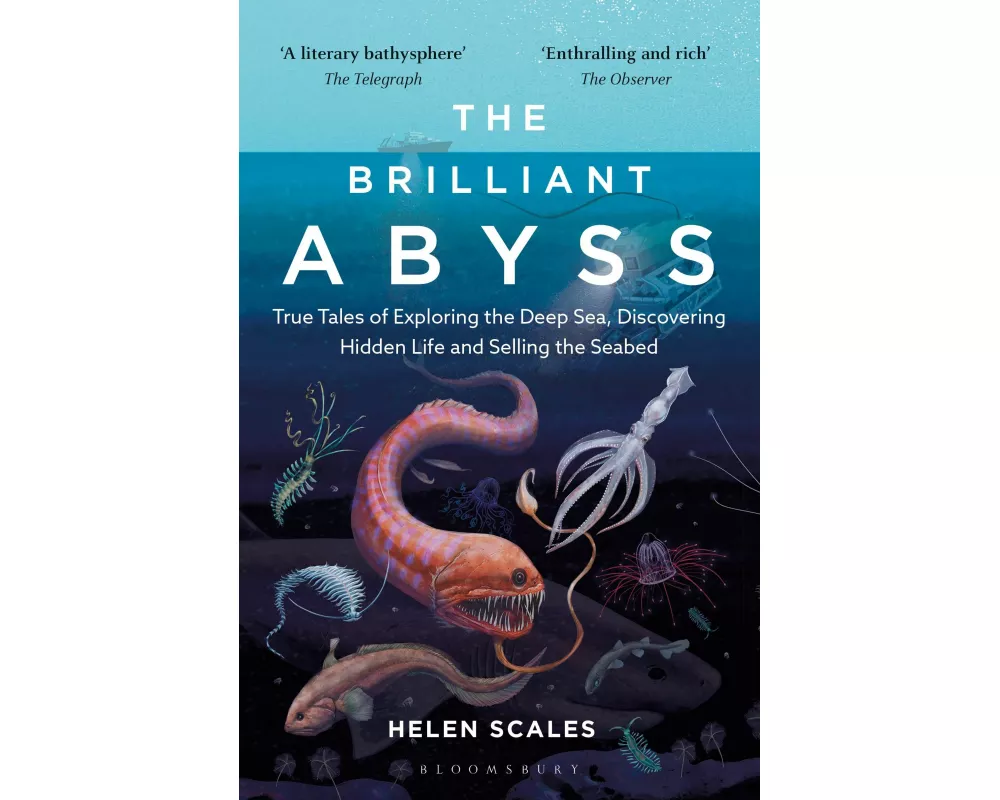 The Brilliant Abyss