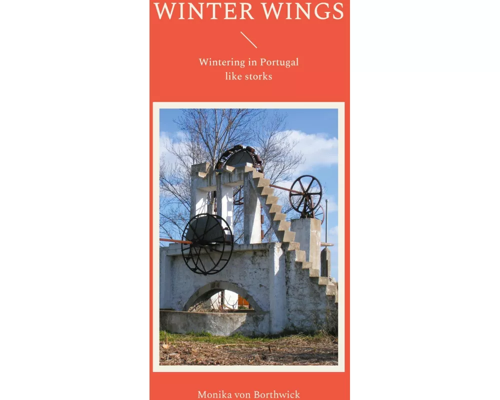 Winter Wings