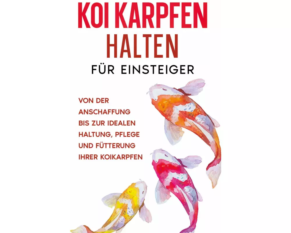 Koi Karpfen halten für Einsteiger