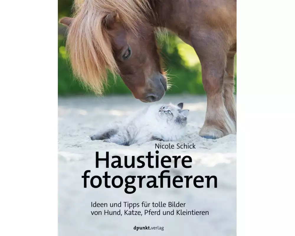 Haustiere fotografieren