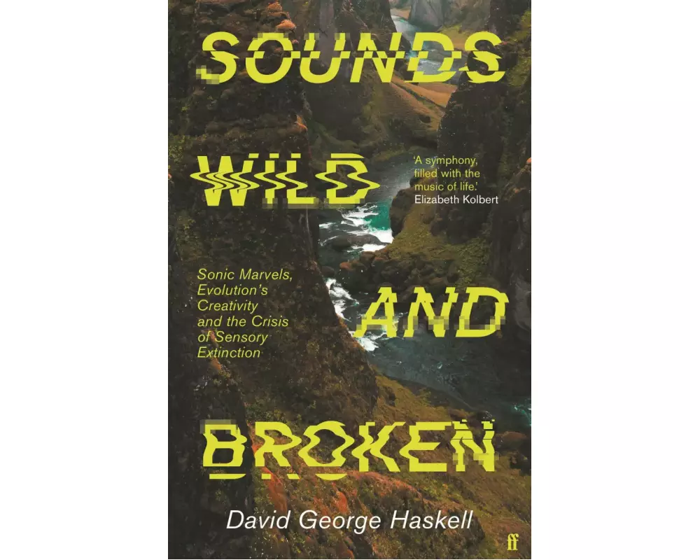 Sounds Wild and Broken
