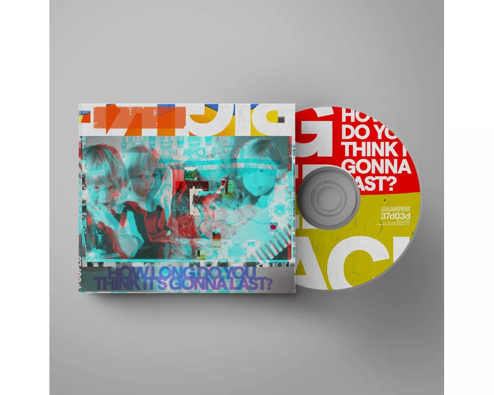 How Long Do You Think It's Gonna Last?