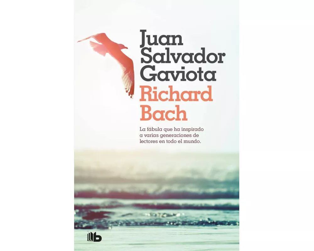 Juan Salvador Gaviota