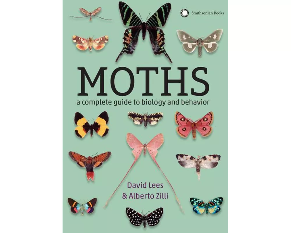 Moths