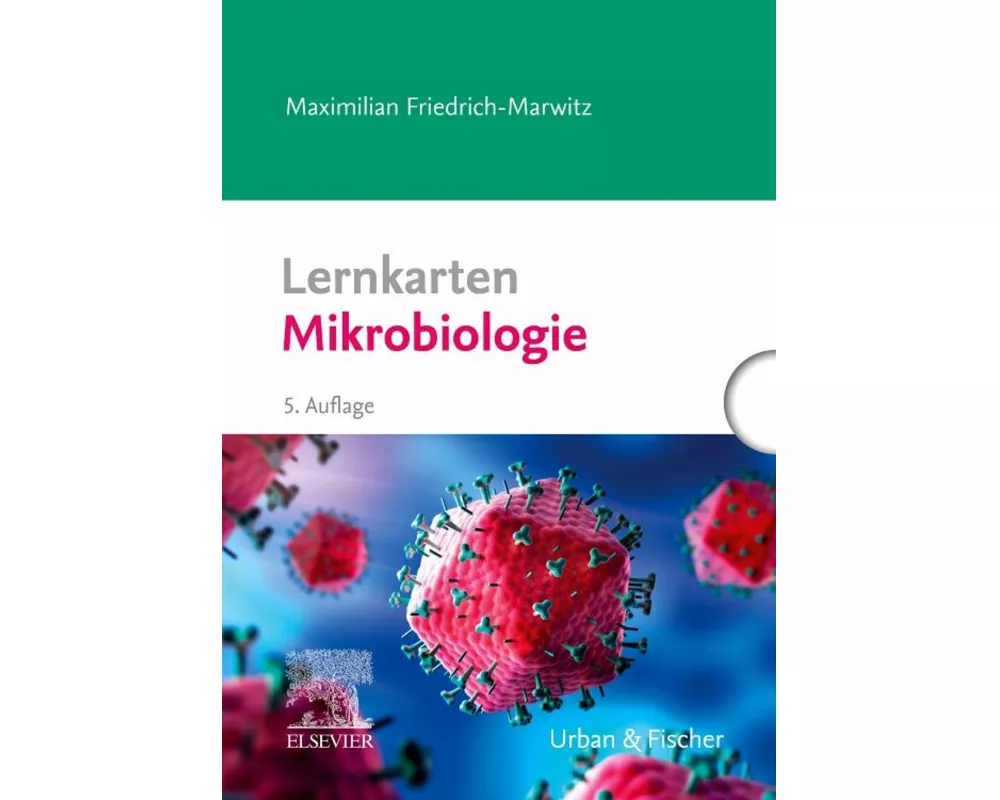 Lernkarten Mikrobiologie