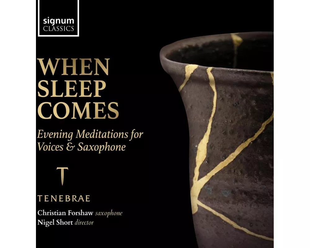 When Sleep comes-Lieder