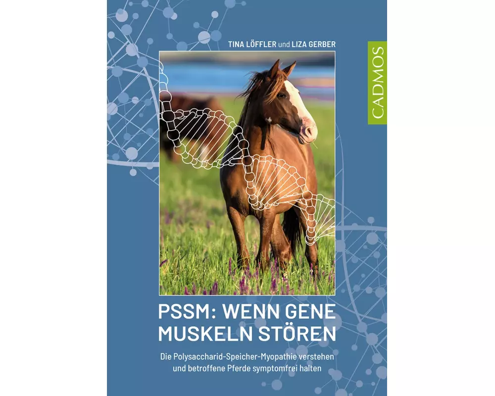 PSSM: Wenn Gene Muskeln stören