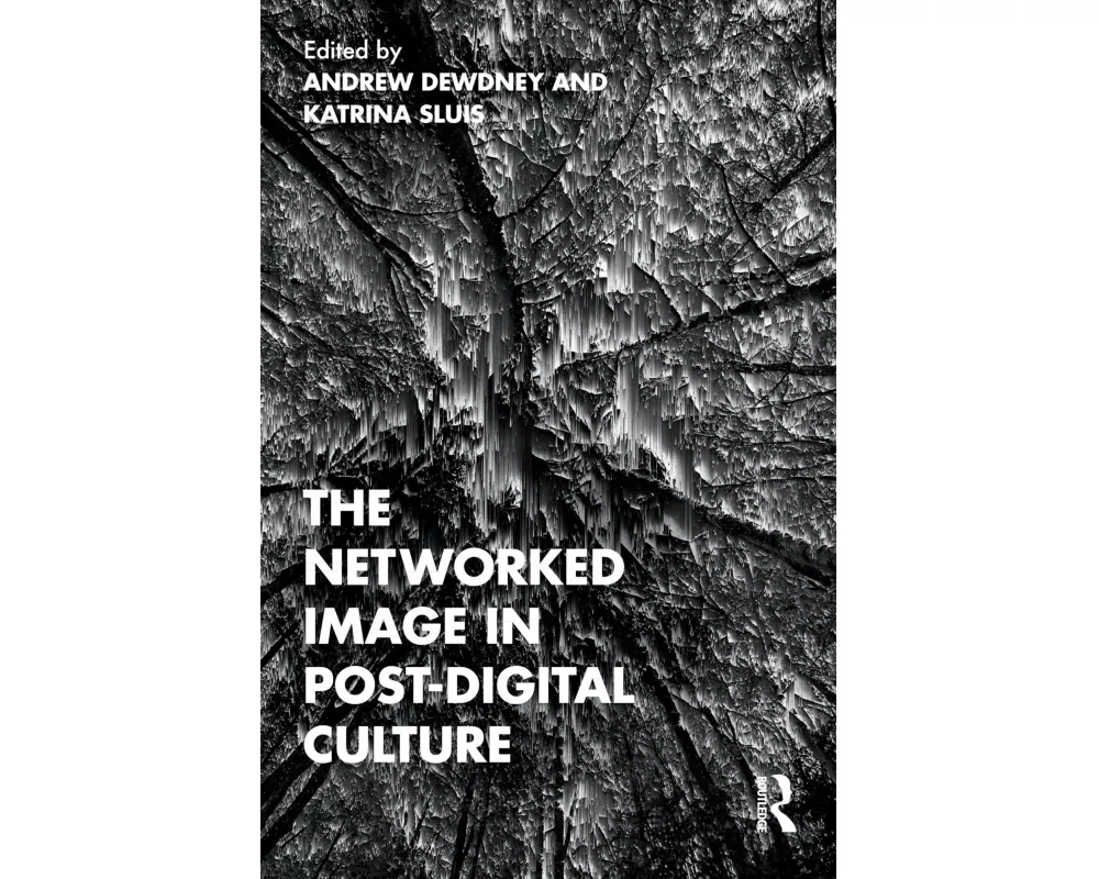 The Networked Image in Post-Digital Culture