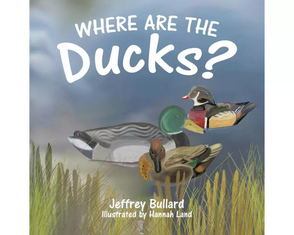 Where Are the Ducks?