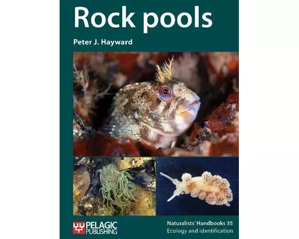 Rock pools