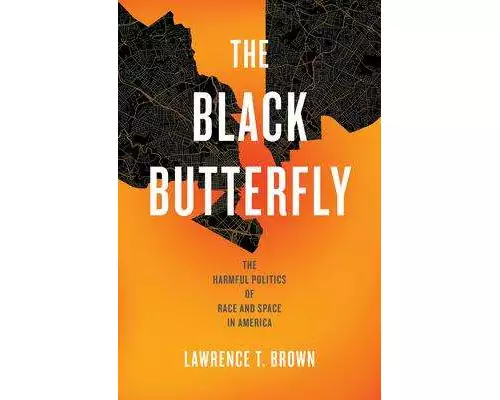 The Black Butterfly