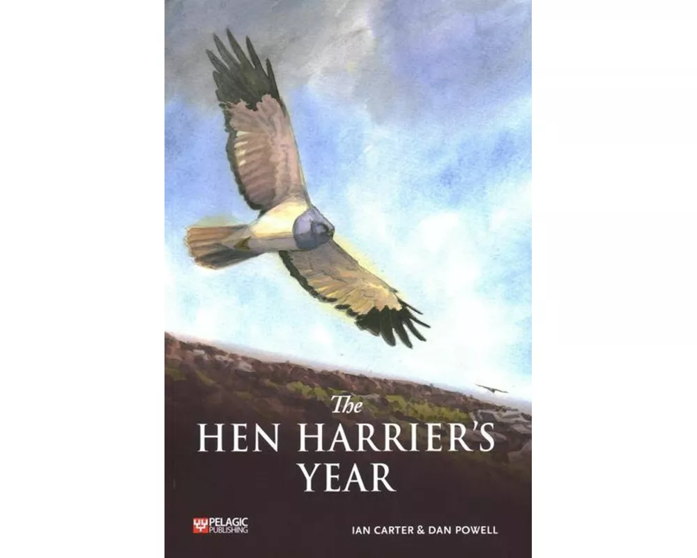 The Hen Harrier's Year